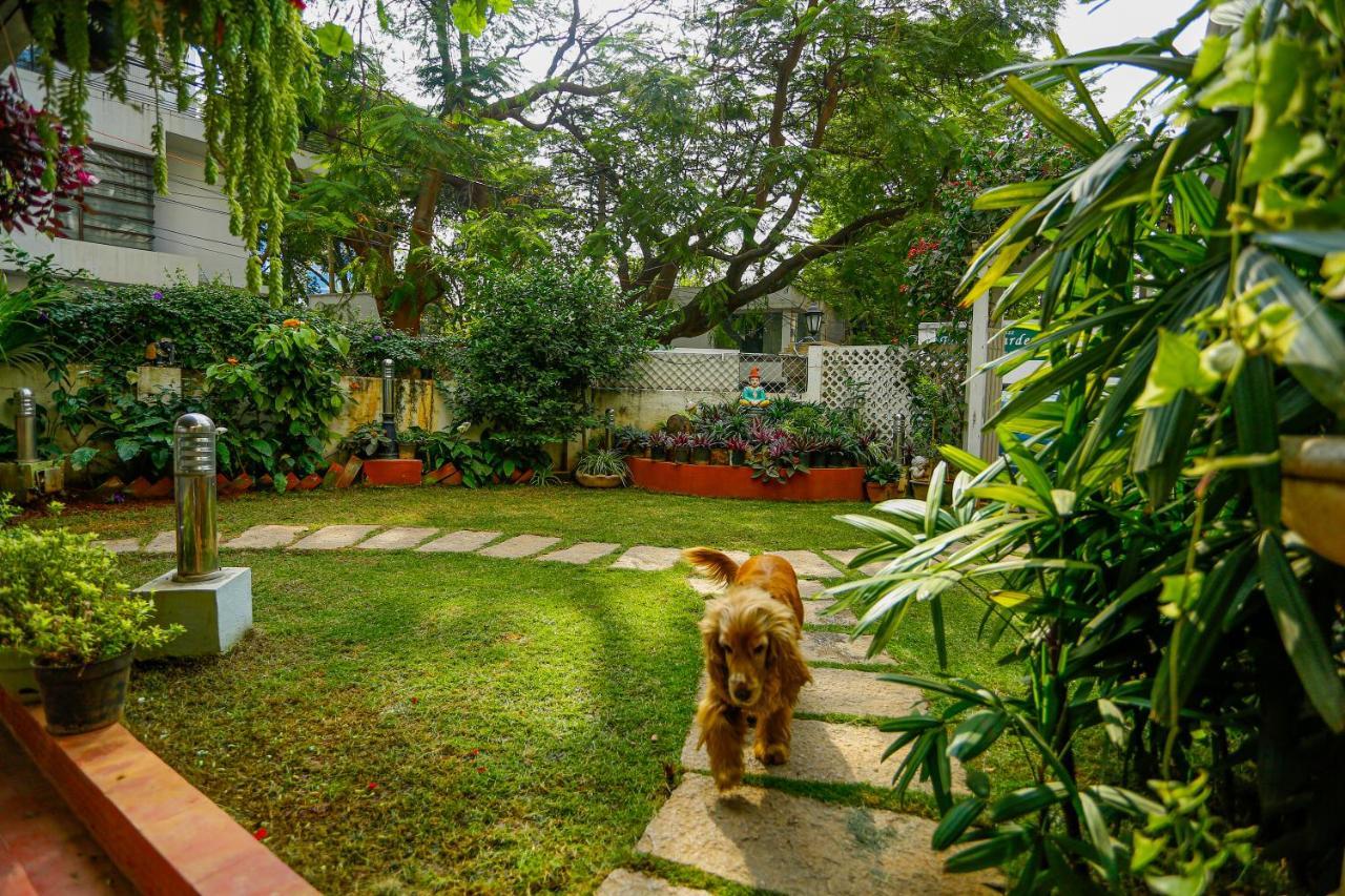 Terrace Gardens Acomodação com café da manhã Bangalore Exterior foto